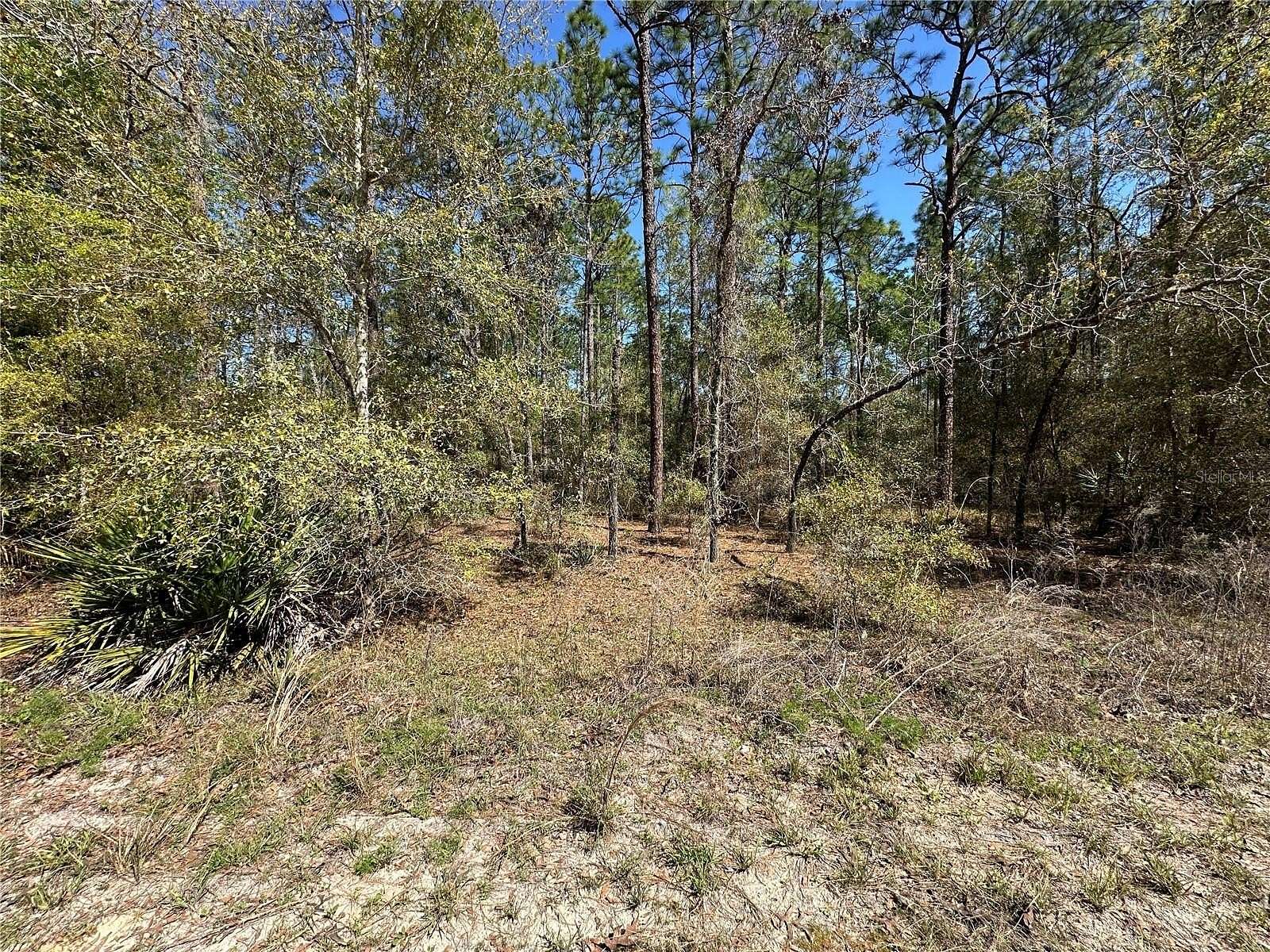 0.46 Acres of Residential Land for Sale in Ocala, Florida