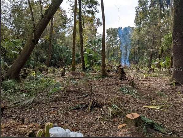 1.16 Acres of Residential Land for Sale in Crystal River, Florida