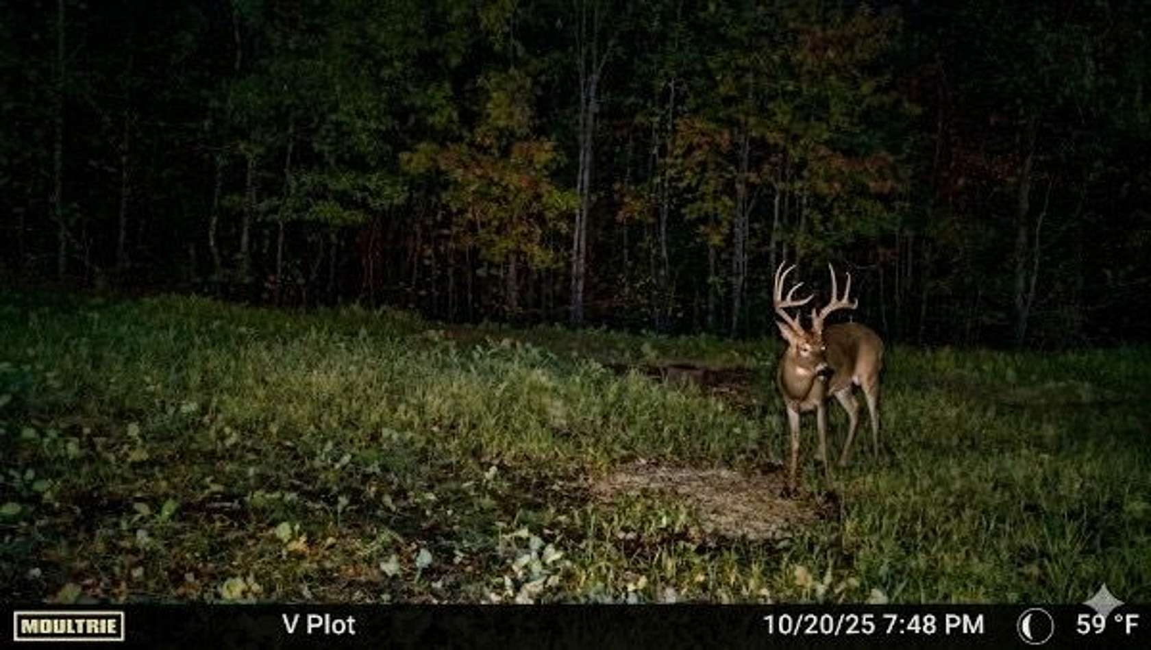 189 Acres of Recreational Land for Sale in Buffalo, Tennessee