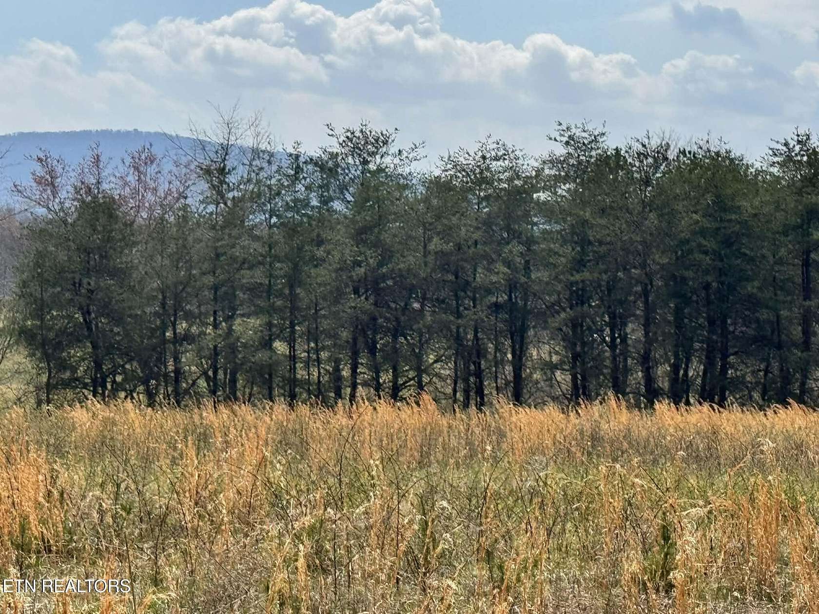 5.19 Acres of Residential Land for Sale in Crossville, Tennessee