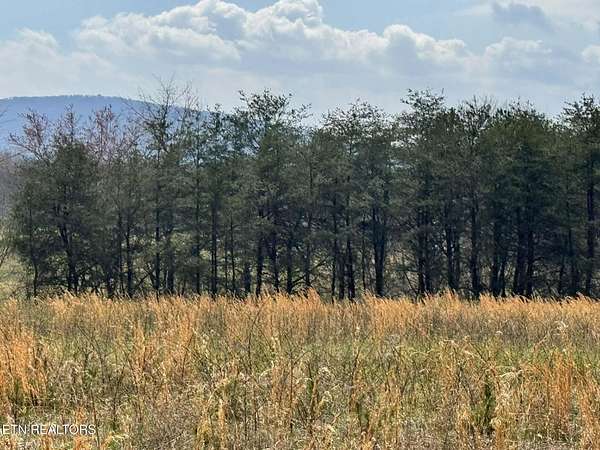 5.19 Acres of Residential Land for Sale in Crossville, Tennessee