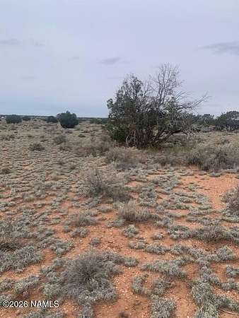 1.14 Acres of Land for Sale in Williams, Arizona