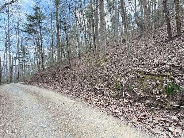 5.15 Acres of Residential Land for Sale in Del Rio, Tennessee