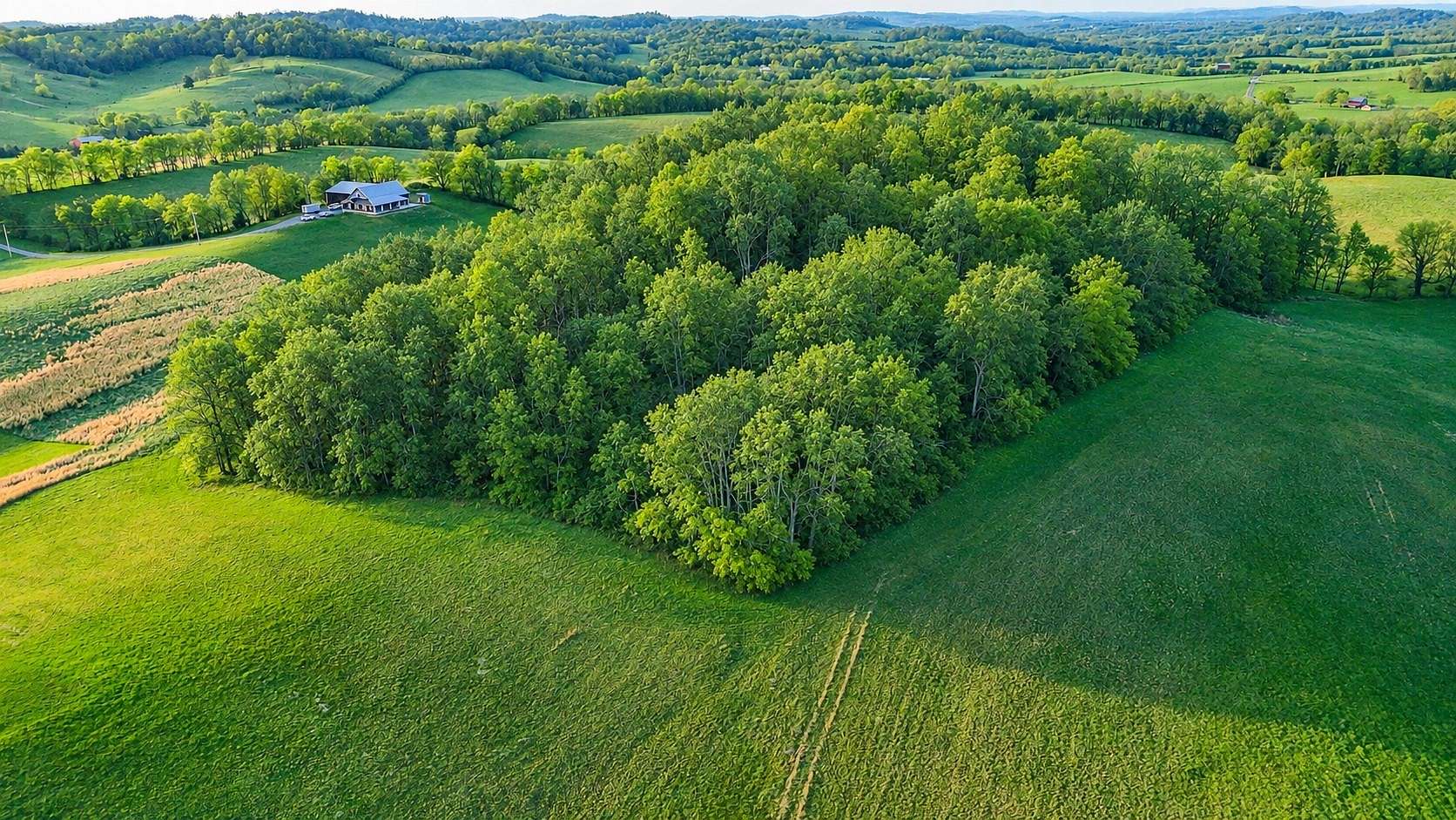 12.8 Acres of Land for Sale in Shelbyville, Tennessee