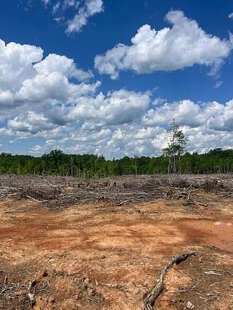 116 Acres of Recreational & Residential Land for Sale in Keysville, Virginia