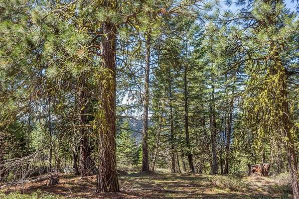 5 Acres of Land for Sale in Cascade, Idaho