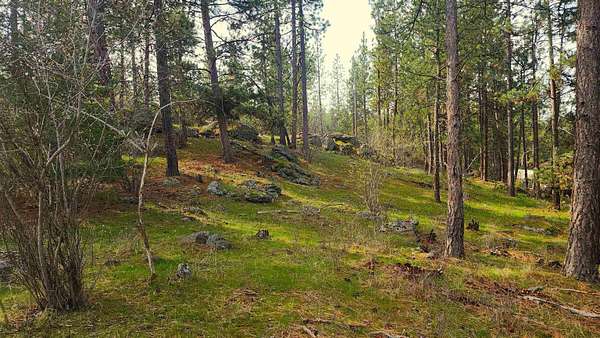 0.34 Acres of Residential Land for Sale in Spokane Valley, Washington