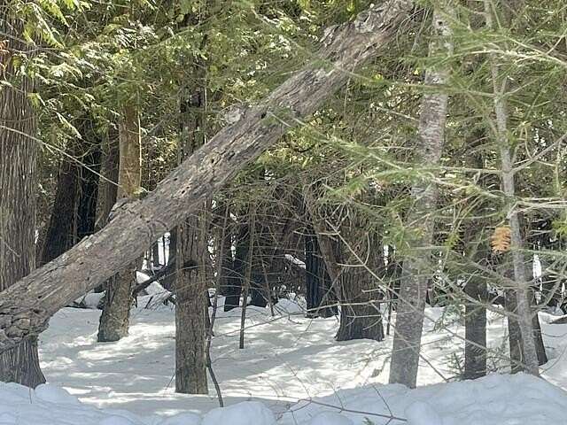 3 Acres of Land for Sale in Bois Blanc Township, Michigan