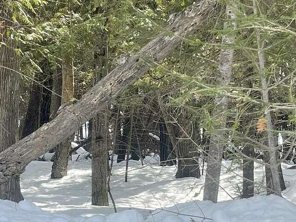 3 Acres of Land for Sale in Bois Blanc Township, Michigan