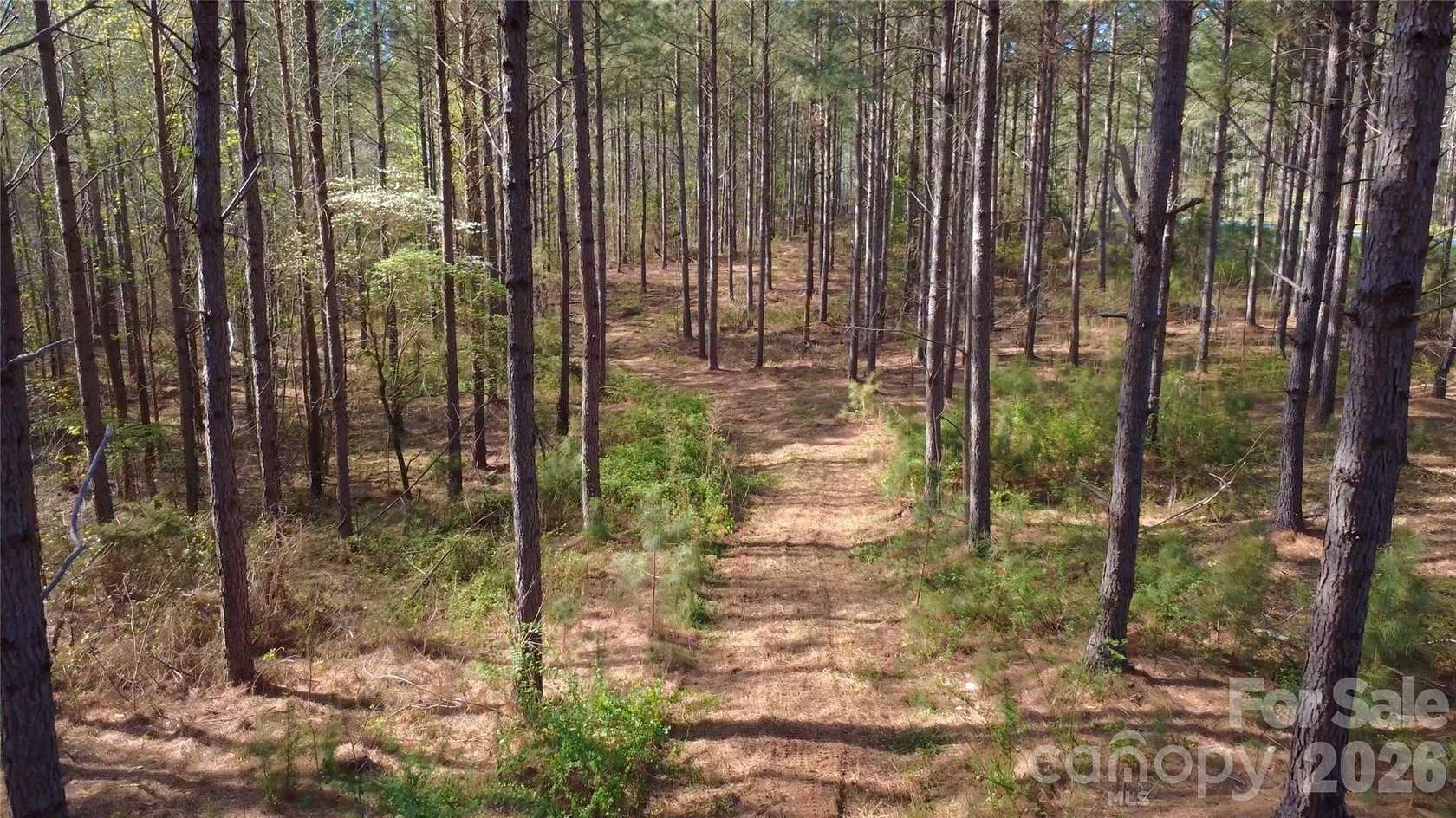 8 Acres of Residential Land for Sale in Jonesville, South Carolina