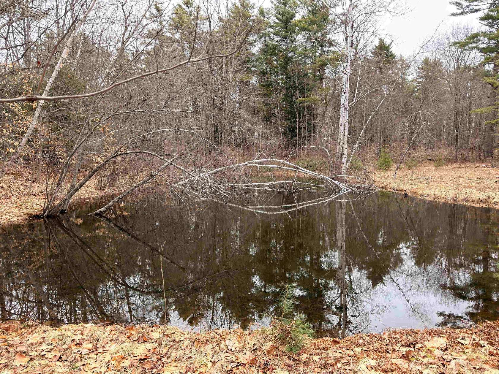 9.6 Acres of Land for Sale in Belmont, New Hampshire