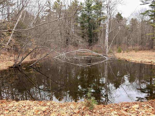 9.6 Acres of Land for Sale in Belmont, New Hampshire