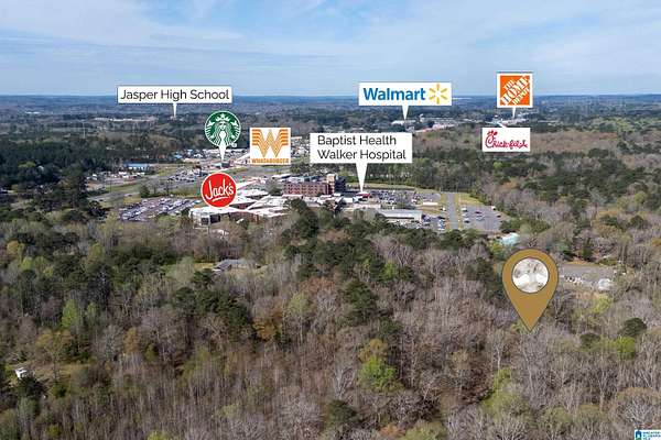 14.2 Acres of Land for Sale in Jasper, Alabama