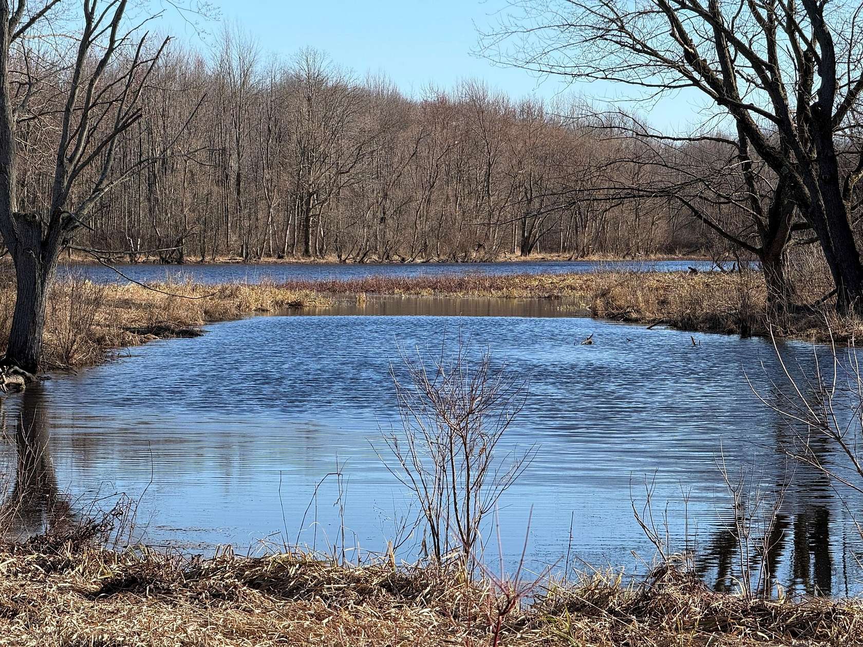 42.5 Acres of Recreational Land for Sale in Dowling, Michigan