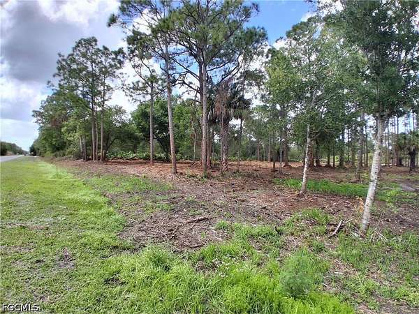 1.25 Acres of Land for Sale in Clewiston, Florida