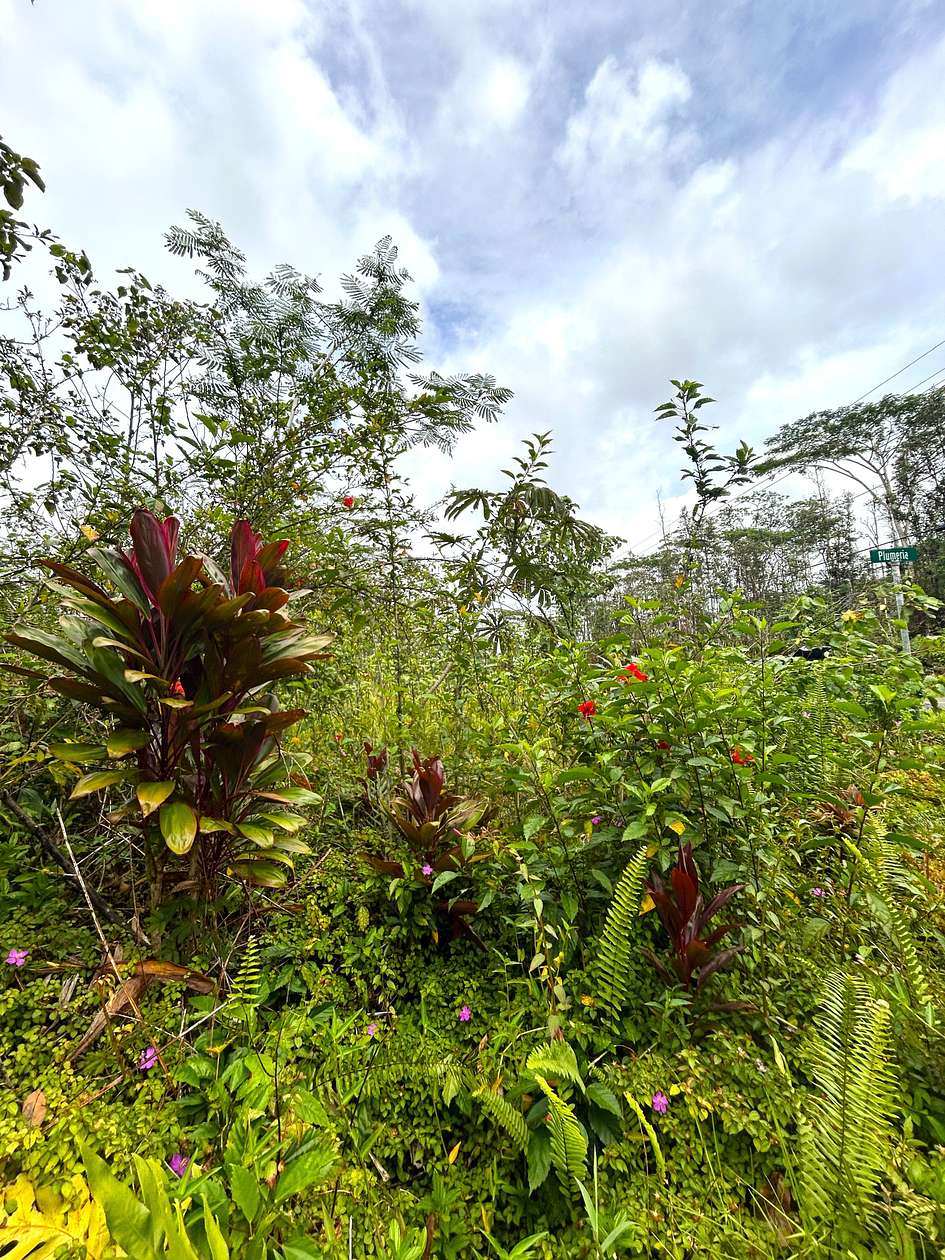 0.19 Acres of Residential Land for Sale in Pahoa, Hawaii