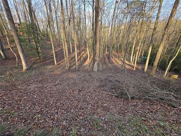 0.94 Acres of Residential Land for Sale in Ellijay, Georgia