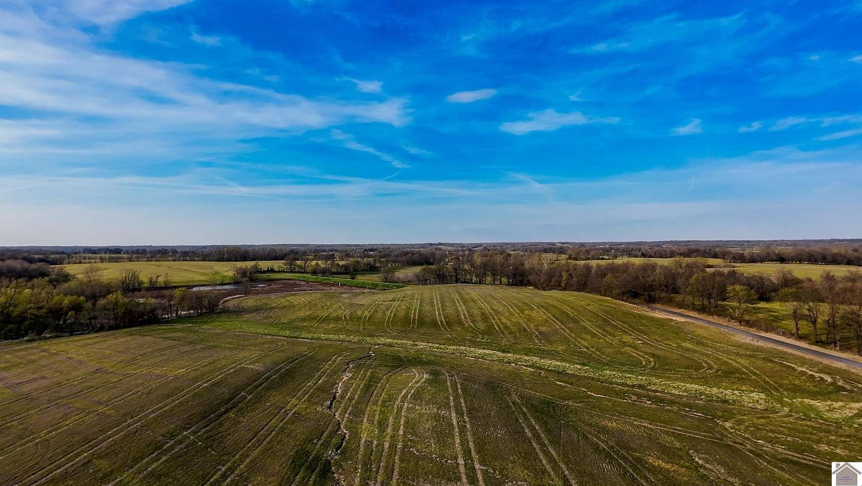 96.6 Acres of Agricultural Land for Sale in Fancy Farm, Kentucky