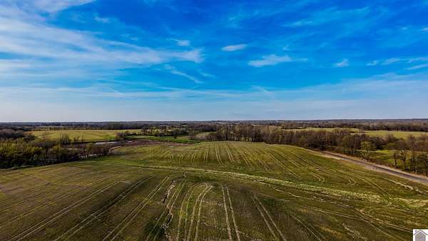 96.6 Acres of Agricultural Land for Sale in Fancy Farm, Kentucky