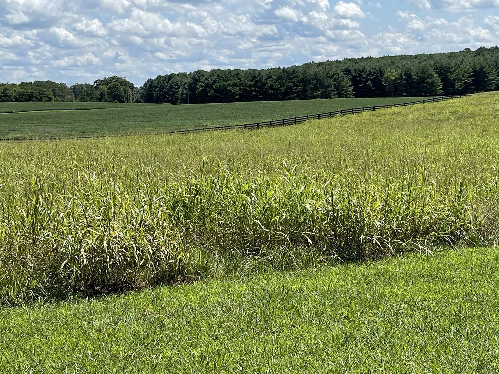 1 Acre of Residential Land for Sale in Russell Springs, Kentucky