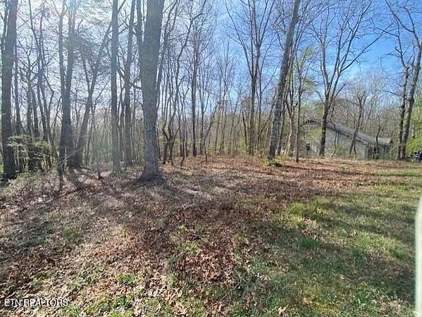 0.01 Acres of Residential Land for Sale in Fairfield Glade, Tennessee