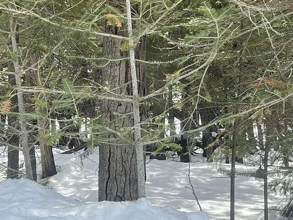 1.24 Acres of Land for Sale in Bois Blanc Township, Michigan