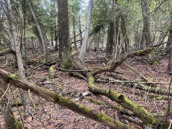 1.24 Acres of Land for Sale in Bois Blanc Township, Michigan