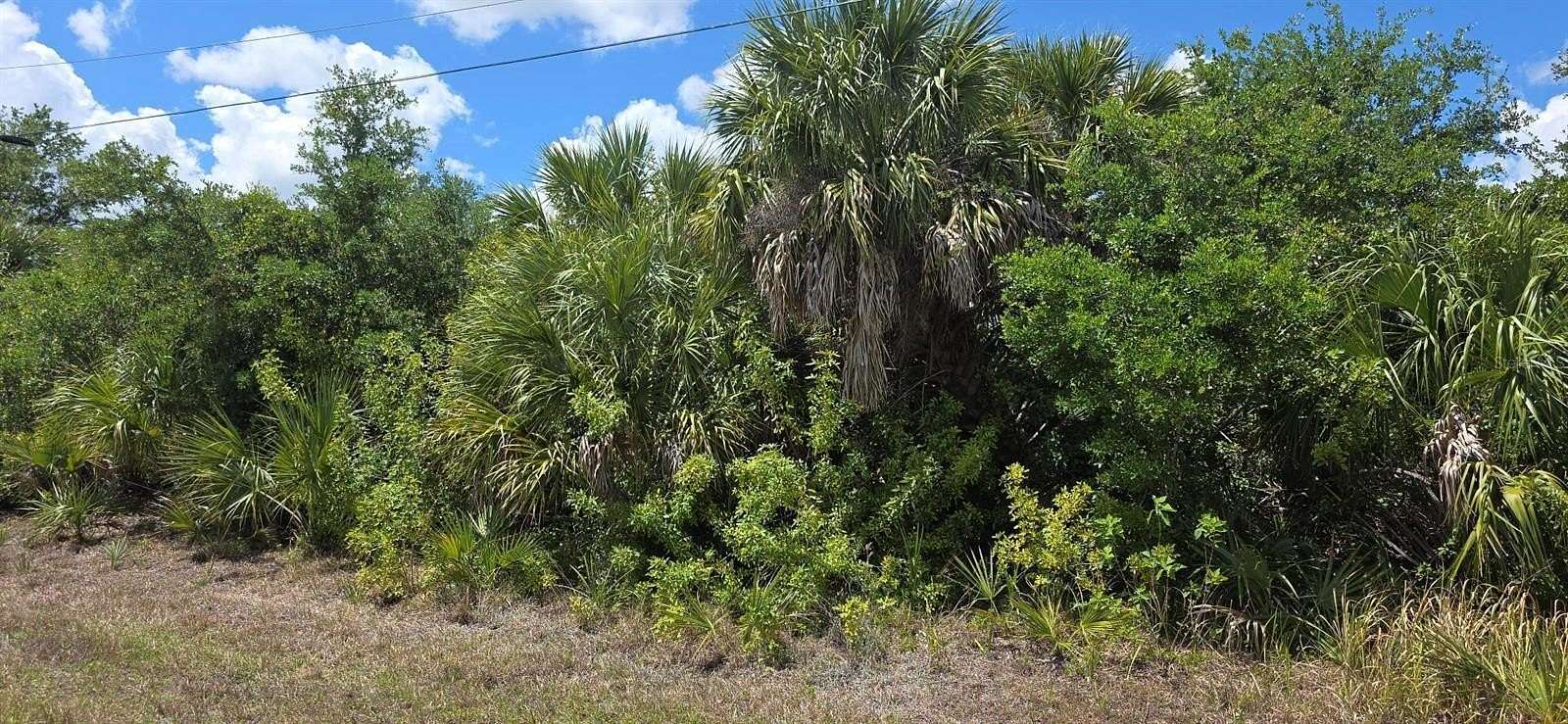 0.24 Acres of Residential Land for Sale in Port Charlotte, Florida