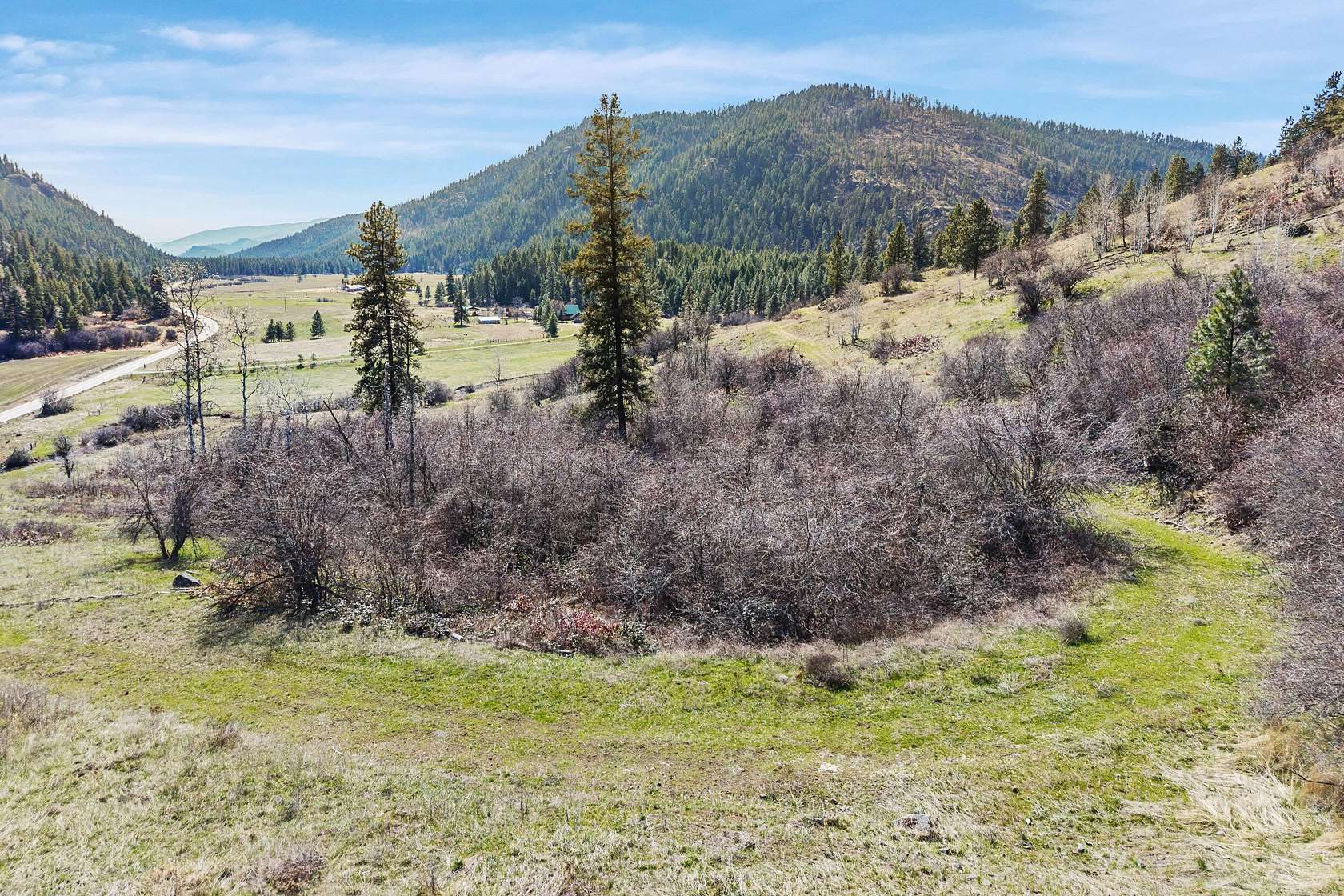 46 Acres of Land for Sale in Kettle Falls, Washington