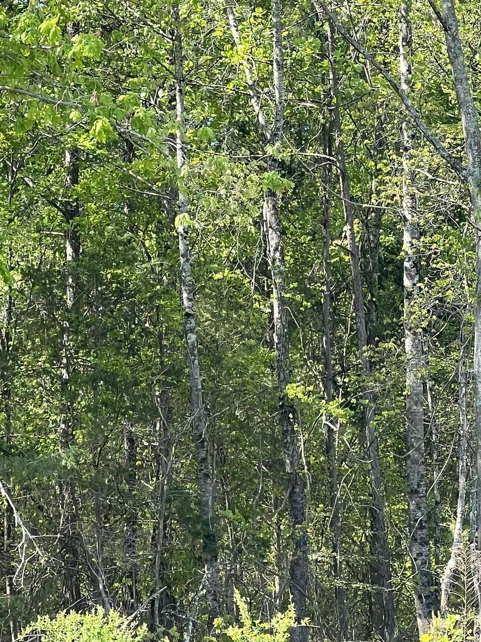 0.34 Acres of Residential Land for Sale in Inman, South Carolina