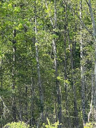 0.34 Acres of Residential Land for Sale in Inman, South Carolina