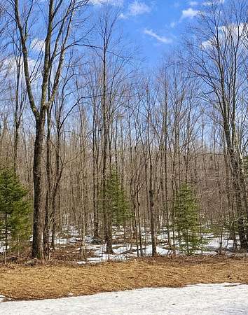 21.9 Acres of Recreational Land for Sale in Mercer, Wisconsin