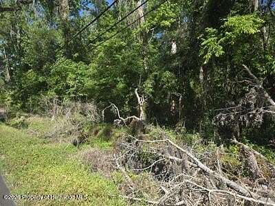 1.68 Acres of Residential Land for Sale in Brooksville, Florida