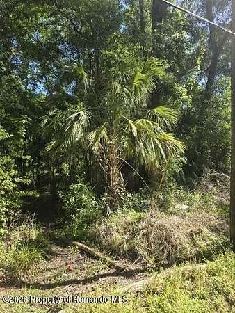 1.68 Acres of Residential Land for Sale in Brooksville, Florida