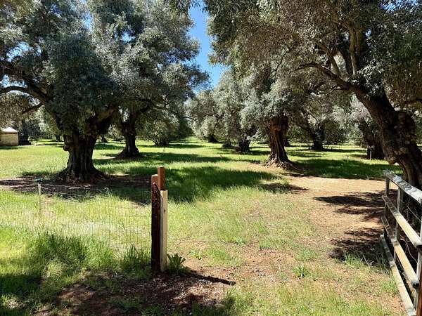 2.3 Acres of Land with Home for Sale in Anderson, California