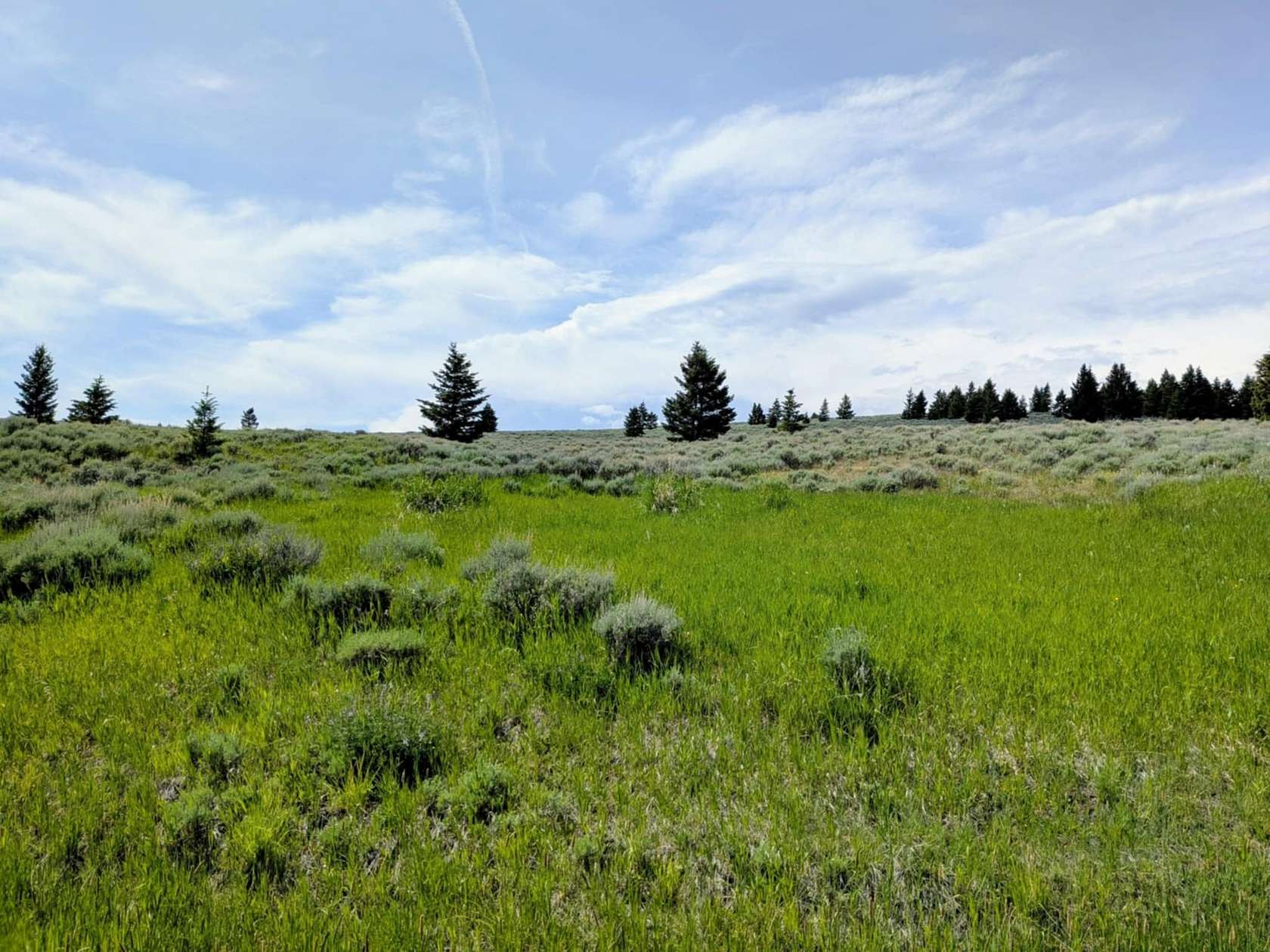 33.5 Acres of Recreational & Residential Land for Sale in White Sulphur Springs, Montana