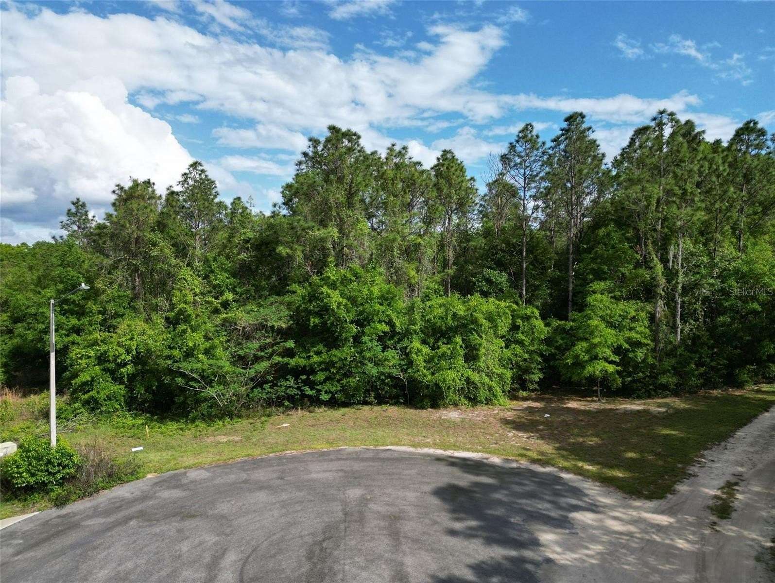 5.76 Acres of Residential Land for Sale in Belleview, Florida