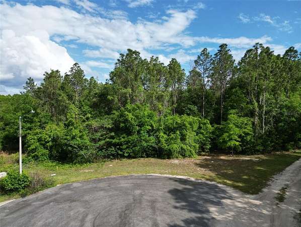 5.76 Acres of Residential Land for Sale in Belleview, Florida