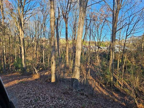 0.53 Acres of Residential Land for Sale in Ellijay, Georgia