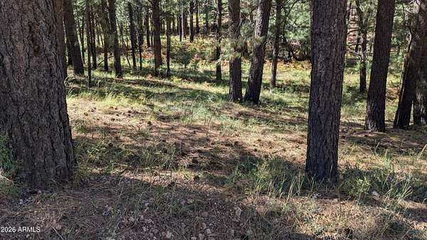 1 Acre of Land for Sale in Forest Lakes Estates, Arizona