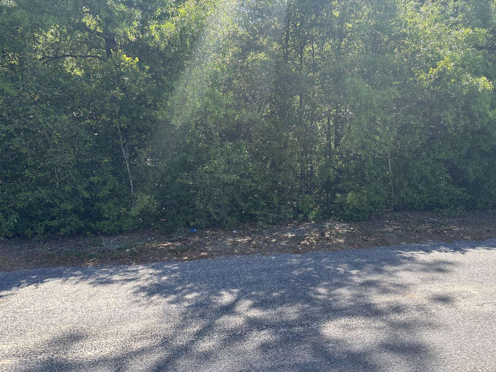 4.34 Acres of Residential Land for Sale in DeFuniak Springs, Florida