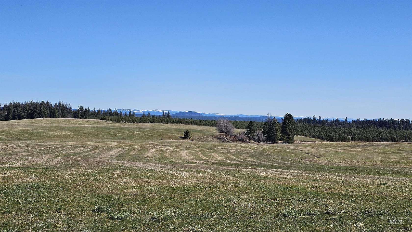 19.5 Acres of Recreational & Residential Land for Sale in Lenore, Idaho