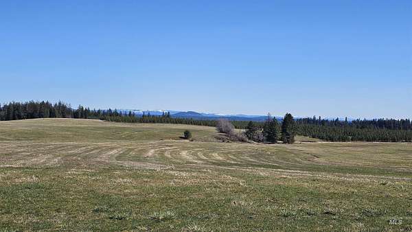 19.5 Acres of Recreational & Residential Land for Sale in Lenore, Idaho
