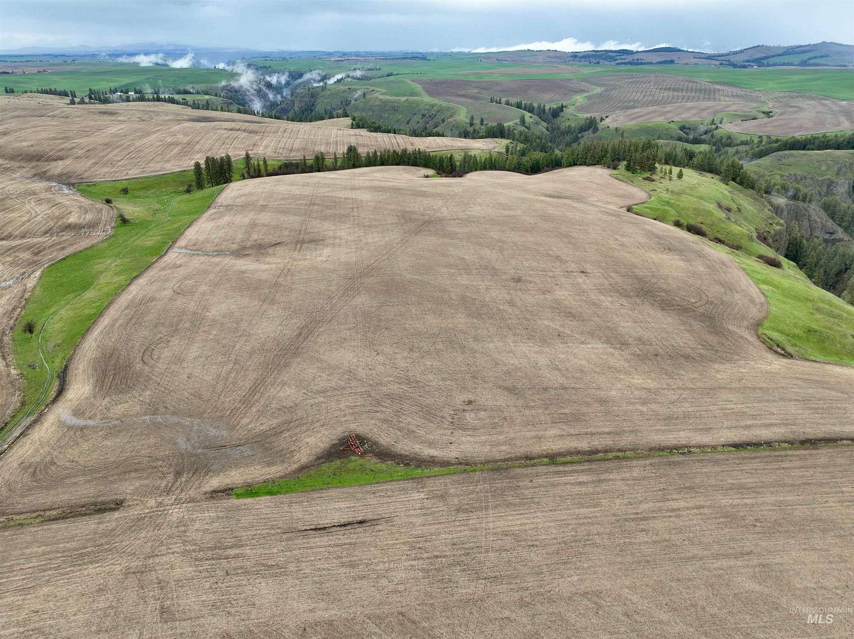 40 Acres of Recreational & Residential Land for Sale in Craigmont, Idaho