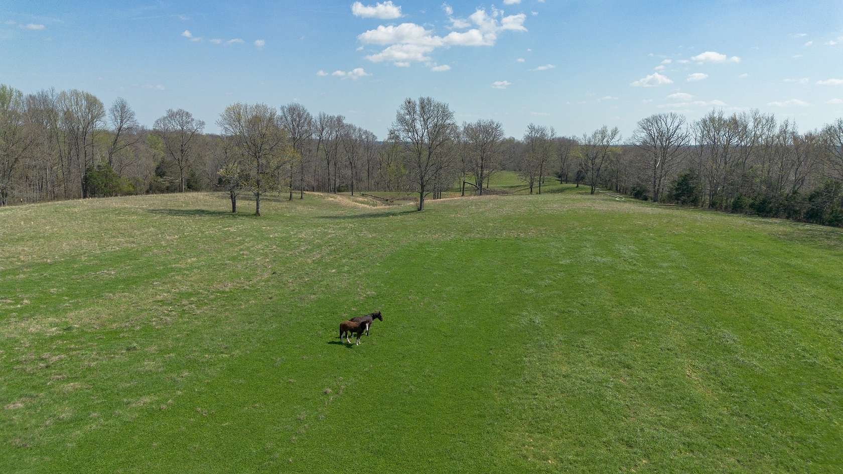 203 Acres of Land for Sale in Charlotte, Tennessee