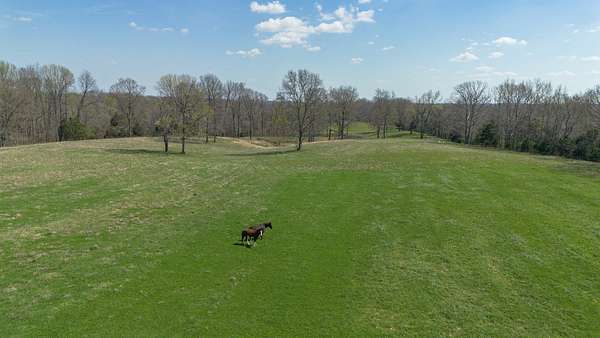 203 Acres of Land for Sale in Charlotte, Tennessee