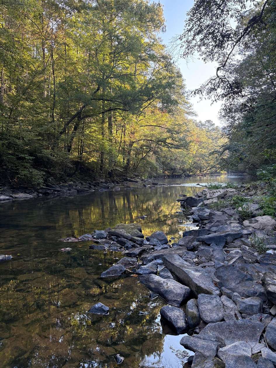 30 Acres of Land for Sale in Jasper, Alabama