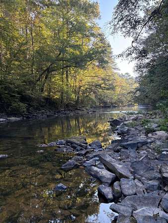 30 Acres of Land for Sale in Jasper, Alabama