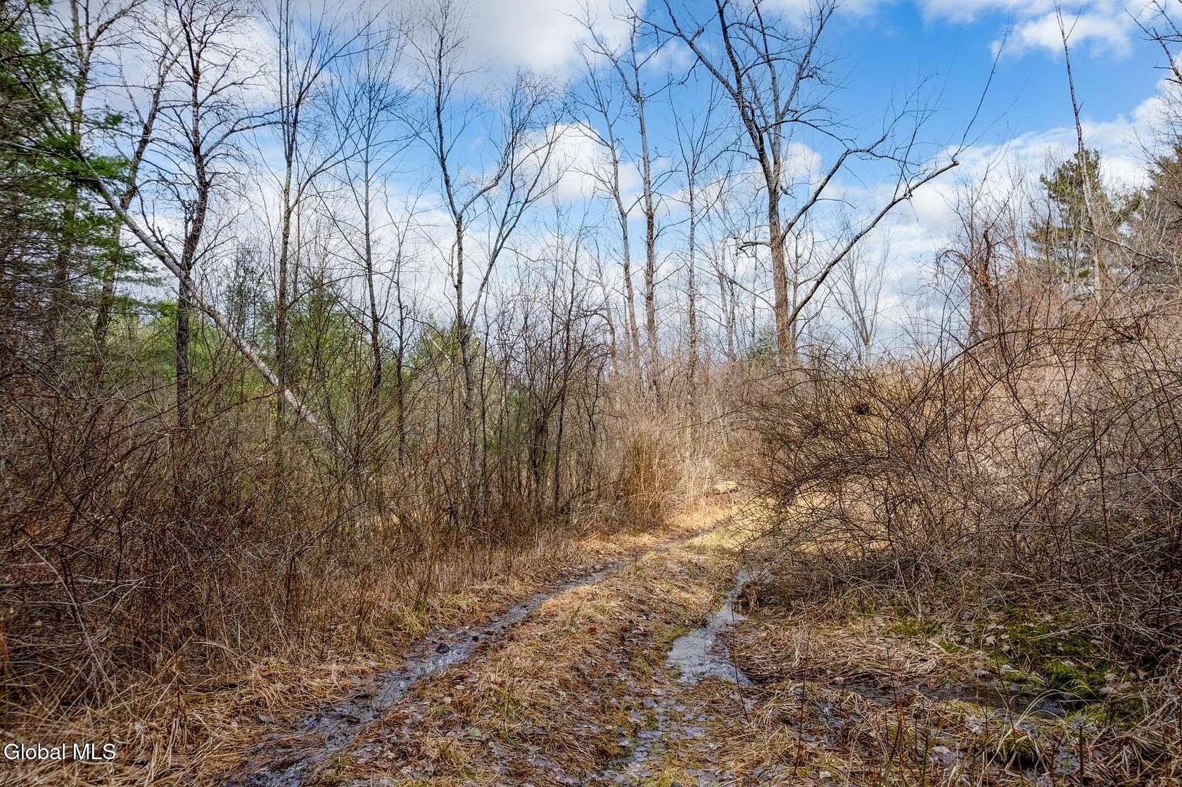 79 Acres of Land for Sale in East Nassau, New York