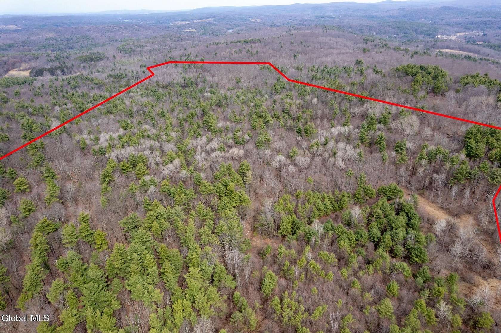 79 Acres of Recreational Land for Sale in East Nassau, New York
